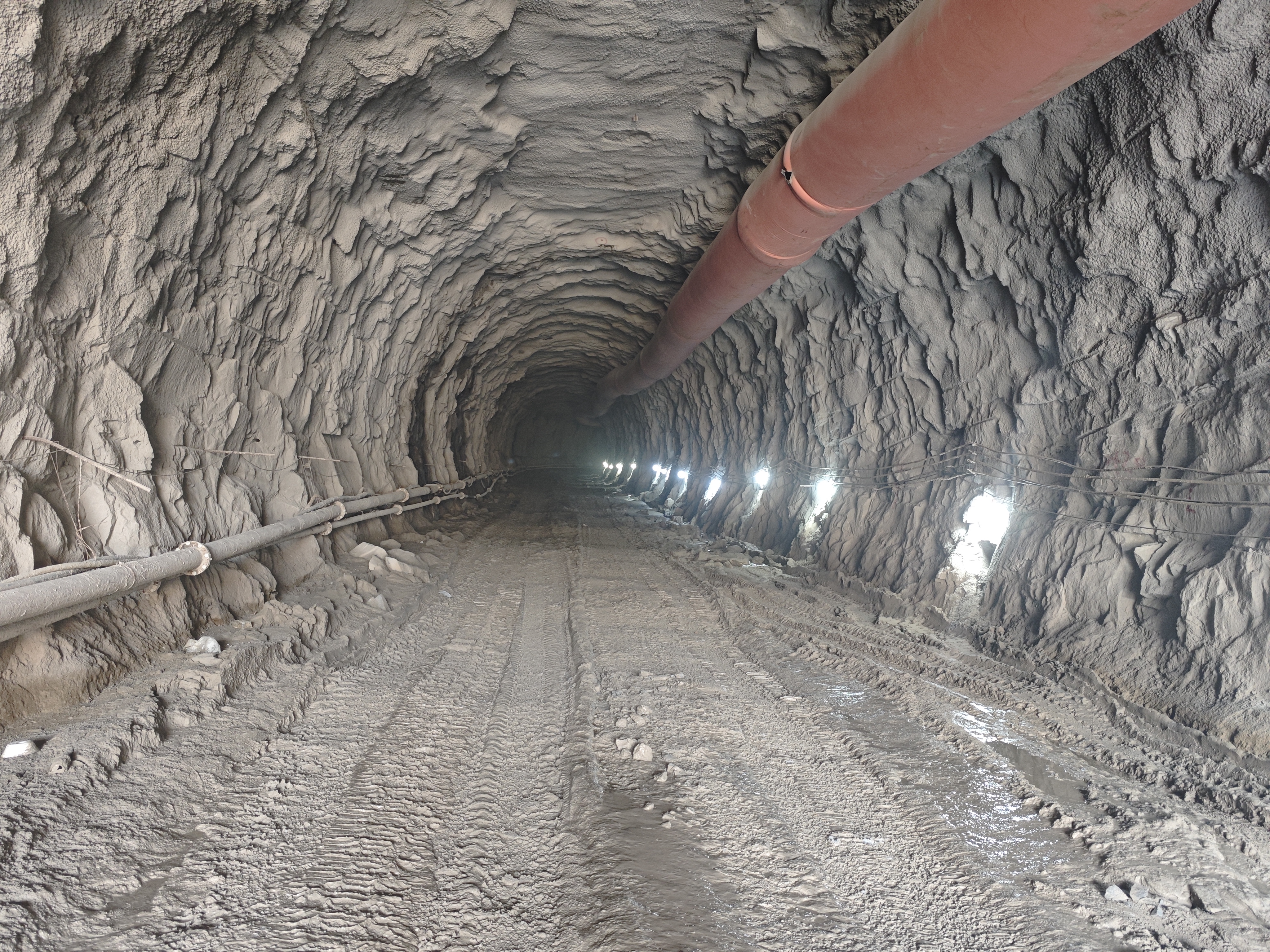 8188www威尼斯-8188www威尼斯正式版下载V4.6.7