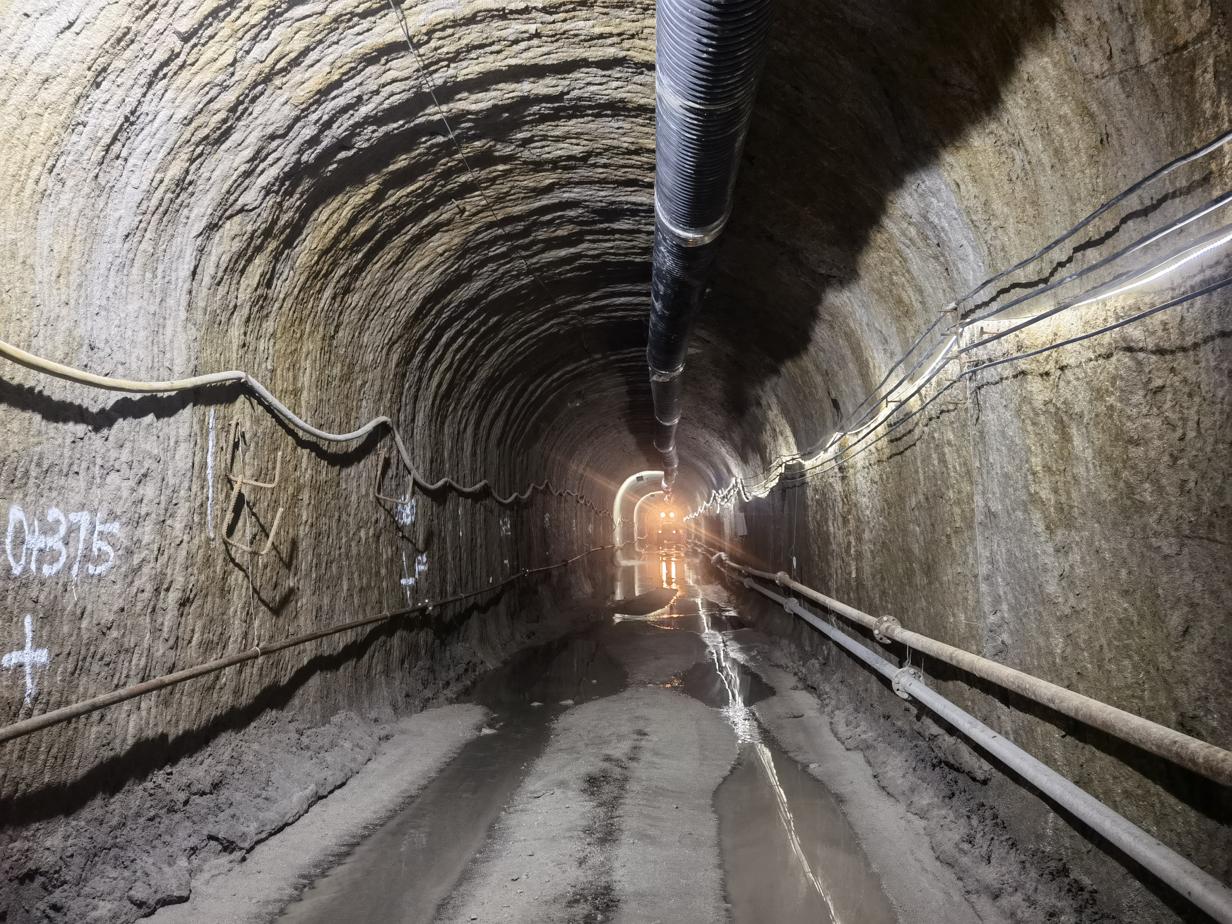 8188www威尼斯-8188www威尼斯正式版下载V4.6.7